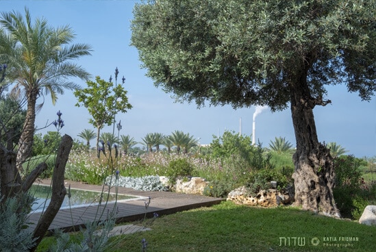 מעצבי גינות בבתים פרטיים