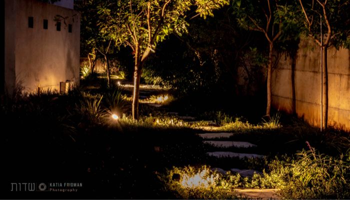 תאורת לילה בשביל הליכה חיצוני בגינה מעוצבת בבית פרטי - שדות