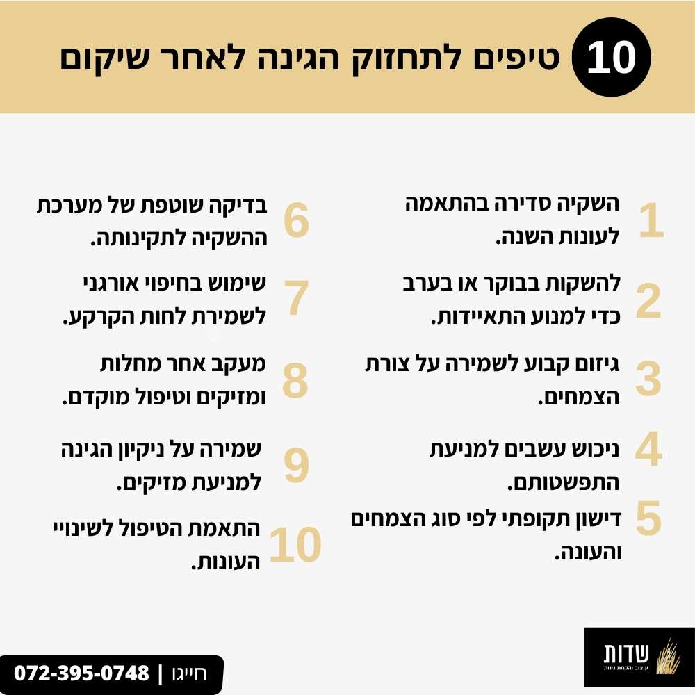 10 טיפים לתחזוק הגינה לאחר שיקום | שדות גינון