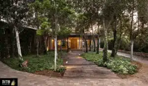 עיצוב גינה כפרית עיצוב ותכנון גינות