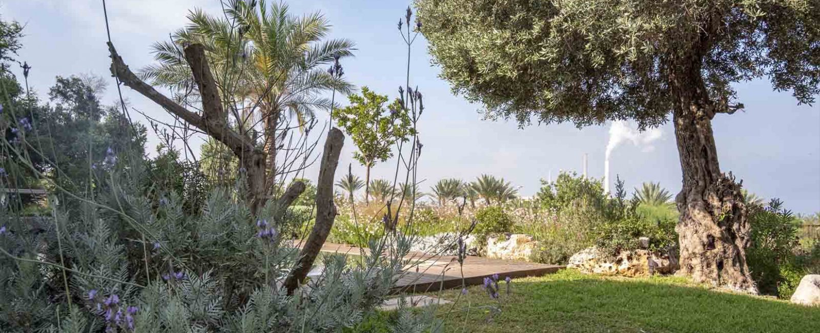 מעצב ואדריכל נוף במגזר הפרטי ועסקי אדריכלות נוף בבתים פרטיים