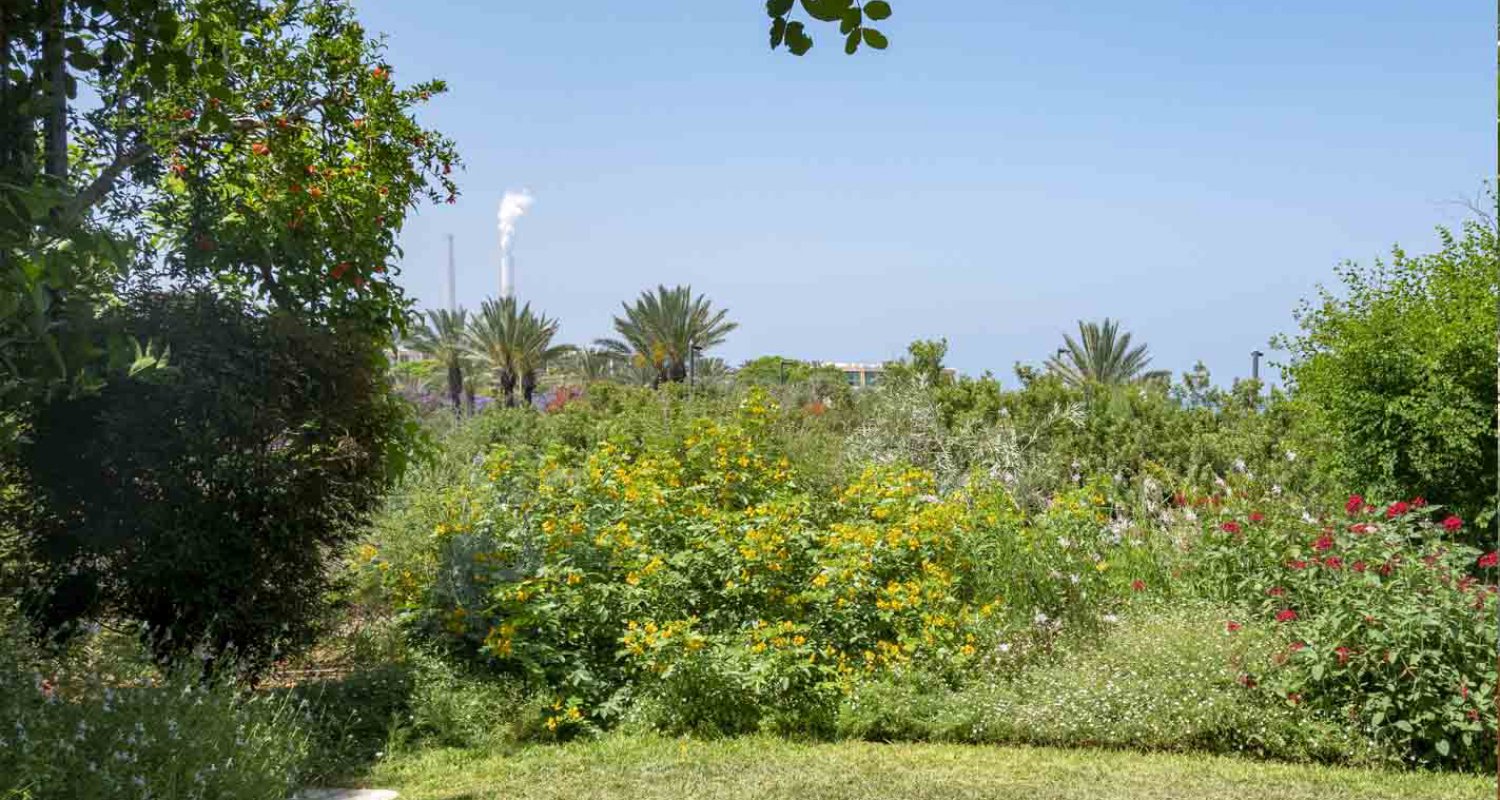 אדריכלות גינות בביתם פרטיים עיצוב נופים וגינות